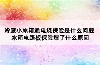 冷藏小冰箱通电烧保险是什么问题 冰箱电路板保险爆了什么原因